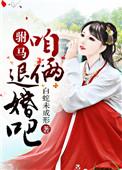高级礼仪培训班
