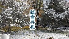 长生送葬敲木鱼能继承亡者遗物 黄桃仙人