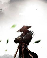 武逆佣兵妃：凰战天穹