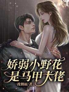 贫家子的科举路txt