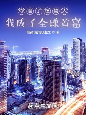他的小甜瓜免费阅读