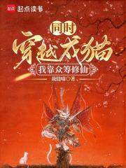 十一层电梯价格表