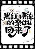 一朵伪娇花txt