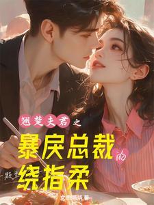 拾凶者概括
