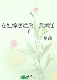 三国刘阿斗老婆叫什名字