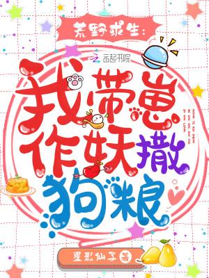 巅峰官途一生