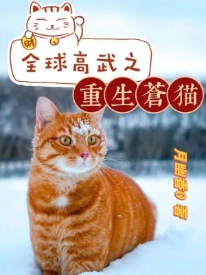 诡物收藏家无限