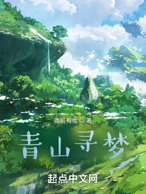 官员挂职