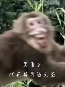 是日夏茗什么意思