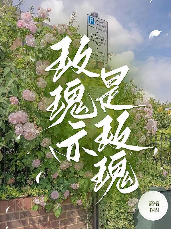 反派的快乐你想象不到格格党
