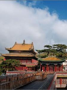 穿书后我跟主角炒cp(娱乐圈)