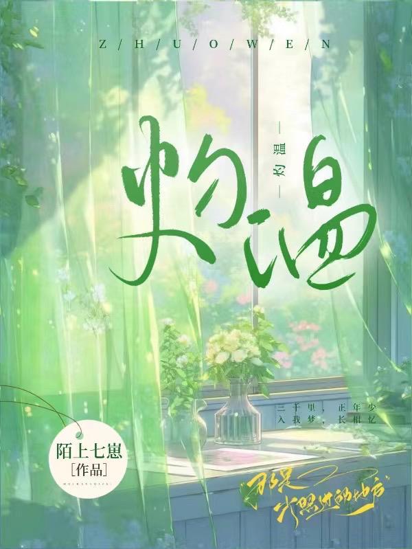 偶像的奋斗史(娱乐圈)作者鸿君老祖