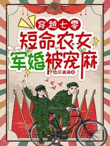 紫金套装多少vp