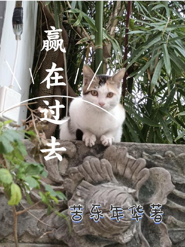 紫金套装价格