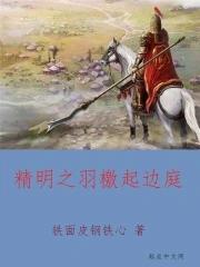 古董局中局免费阅读