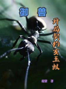 小金丝雀破产后会怎么样