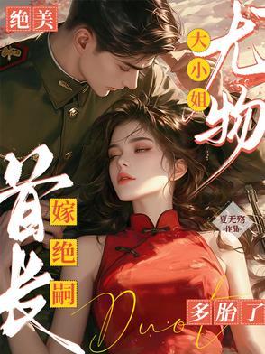 嫁给前夫他哥(重生)罗瑾
