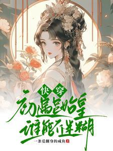 无道经纬像机