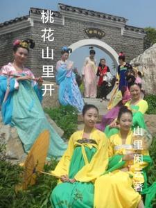大明现代来回穿的蕃王小记