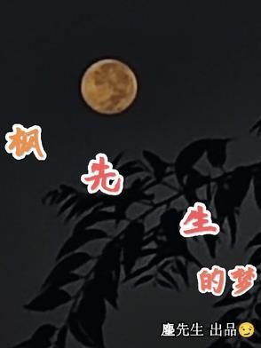 文豪野犬死后文