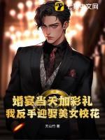 雄兵连之最强葛小伦