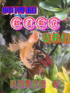 重生之极品再见 第133章