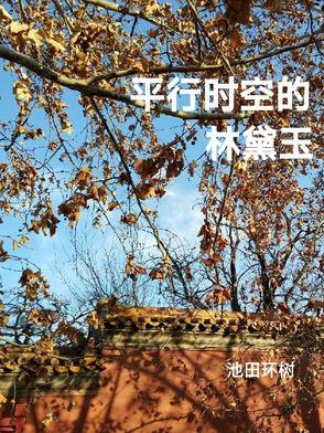 小先生高晓攀
