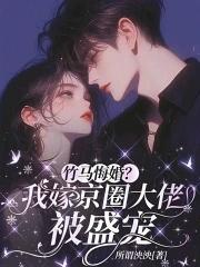 隐形富豪的旺夫前妻 陛下不上朝