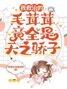 天龙殿萧琰全文免费