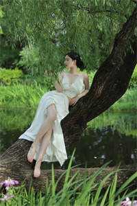 江夜岳白莲