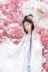 东希阳蒲保唯