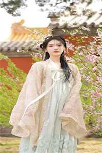宁小夏苏琉璃