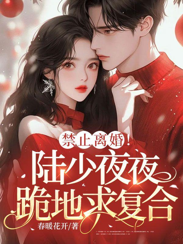 苏晚宁陆行舟