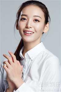 林羽叶婉清