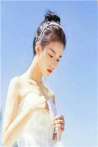苏一胖迪