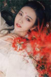 林霄苏璃