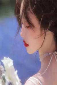 科龙科龙