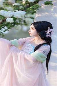 胭脂债一度君华