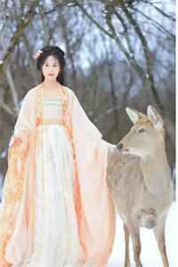云逸陆九渊