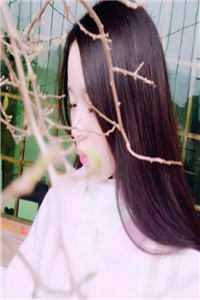 林渊苏瑶