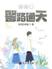 陈铁林长河