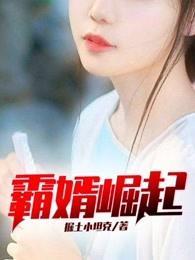 仲夏夜之恋全集