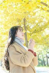 程希许迦