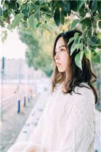 纪云舒赵慎