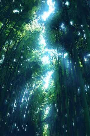 吉米元峥