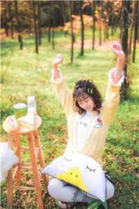 明元雁听听
