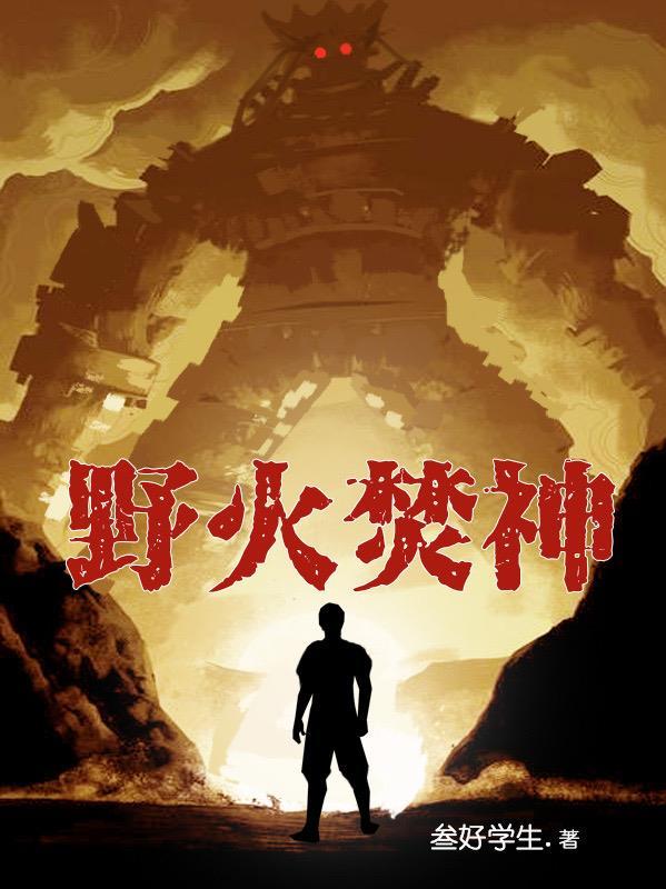 一苇以航素履以往