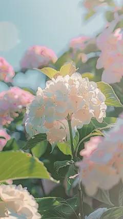 沈宁顾青岩