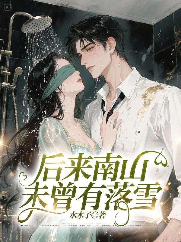 后来南山未曾有落雪