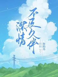 深情不及久伴